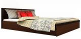 Housefull Fiesta Queen Bed