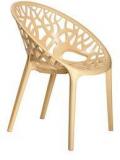 Nilkamal Crystal PP Chair In Beige Colour