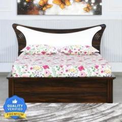 Nilkamal Estana Engineered Wood Queen Hydraulic Bed