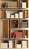 Onlinecraft Engineered Wood Open Book Shelf