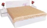 Parin Engineered Wood Queen Bed With Storage