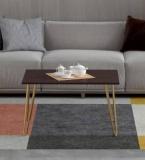 Redwud Kyler Centre Table Engineered Wood Coffee Table