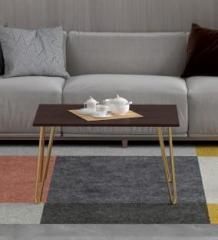 Redwud kyler Centre Table Engineered Wood Coffee Table