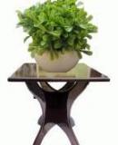 Rma Handicrafts Solid Wood Console Table