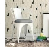 Satyam International Metal Dining Chair