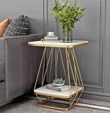 Shariq Wooden Accents Modern Double Top Rectangle Coffee Table End, Centre Table Metal Frame Jaal Metal Side Table