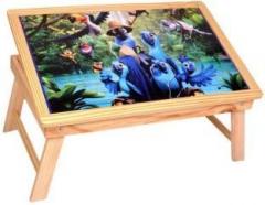 Skys & Ray birdy cartoon Solid Wood Study Table