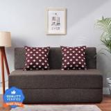 Solis Primus Comfort For All 4X6 Size Sofa Cum Bed For 2 Person 2 Seater Jute Fabric Washable Cover With 2 Cushions COFFEE 2 Seater Double Foam Fold Out Sofa Cum Bed