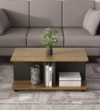 Spacewood CT 103 Engineered Wood Coffee Table