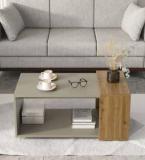 Spacewood CT 108 Engineered Wood Coffee Table