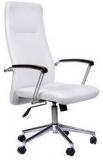 Stellar Spine High Back Executive Chair In White Colour