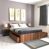 Studio Kook Aztec Two Drawers Engineered Wood Queen Drawer Bed