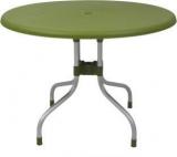 Supreme Cherry Four Seater Dining Table, Mehendi Green Plastic 4 Seater Dining Table