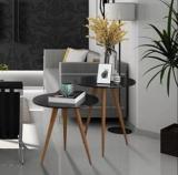 The Shapur Twin Coffee Table Engineered Wood Side Table