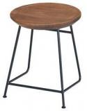 Woodsworth Alonzo Black Stool In Premium Acacia Finish With Metal