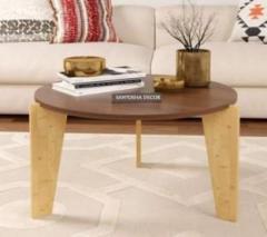 Allie Wood Sheesham Wood Engineered Wood Coffee Table