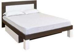 @Home Berry Queen Bed in Walnut & White Colour