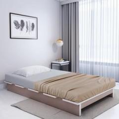 Bharat Lifestyle Celtis Engineered Wood Single Bed