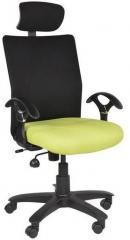 Chromecraft Geneva Desktop with Headrest in Green Colour