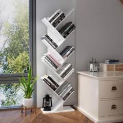 Divysa BSS 01 Engineered Wood Open Book Shelf