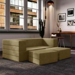 Dr Smith C TYPE 2 Seater Single Foam Fold Out Sofa Cum Bed