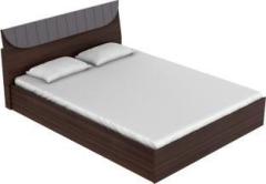 Godrej Interio Highlands Engineered Wood Queen Hydraulic Bed