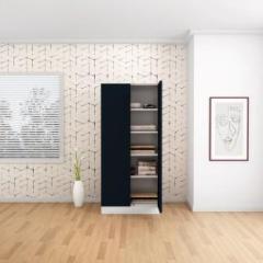 Godrej Interio Slimline 2 Door 4 Shelf Metal Almirah