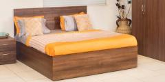 Godrej Interio Viva King Bed with Storage in Cincinnati Walnut Finish