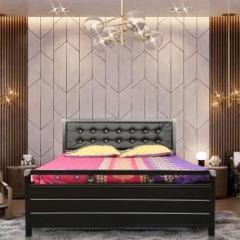 Lakecity Group HEATH Metal King Hydraulic Bed