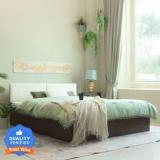 Mintwud From Pepperfry Lush Engineered Wood Queen Box Bed