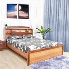 Neudot DENVER QUEEN Engineered Wood Queen NA Bed