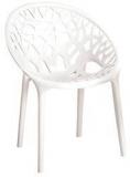 Nilkamal Crystal Chair In White Colour