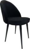 Ofico Solid Wood Dining Chair