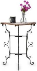 Onlineshoppee AFR201 sl Metal End Table