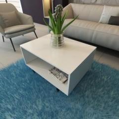 Pickwood Filoria Engineered Wood Coffee Table