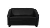 Raptiya Topcon Leatherette 2 Seater Sofa