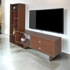 Raywud Urban Nest Walnut Engineered Wood TV Entertainment Unit