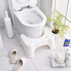 Sanam Enterprise Bathroom Stool