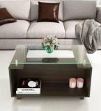 Spacewood CT 112 Engineered Wood Coffee Table