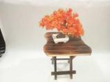 Swn Enterprises COFFEE TABLE Engineered Wood Coffee Table