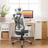 Vergo Transform High Back Ergonomic Home Office Chair | Headrest, 2D Armrest, Lumbar | Mesh Office Executive Chair