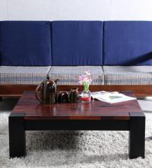 Woodsworth Lorenzo Coffee Table in Dual Tone Finish