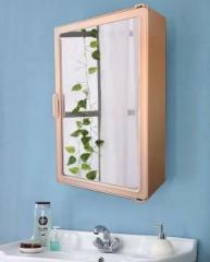 Zahab Plastic Wall Mount Cabinet