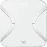 Actofit Body Fat Analyser Smart Scale Lite Body Fat Analyzer