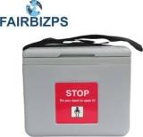 Fairbizps Vaccine Carrier Box with 2 Ice Pack Small Vaccine Carrier Box Pack