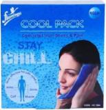 Flamingo Regular Cool Pack, Pack Of 1 Cool Pack