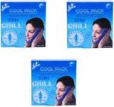 Flamingo Regular Cool Pack, Pack Of 3 Cool Pack