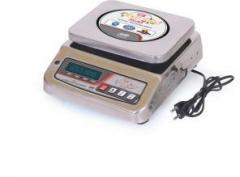 Goldkingscale KD SS MINI 30KG Weighing Scale