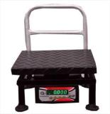 Gramtechnology GT Weighing Scale 100kg X 10g M.S Weight Machine Double Side Display For Shop Weighing Scale