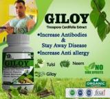 Vaasudevay Giloy Increase Antibodies & Stay Away Disease, 100% Ayurvedic Body Fat Analyzer